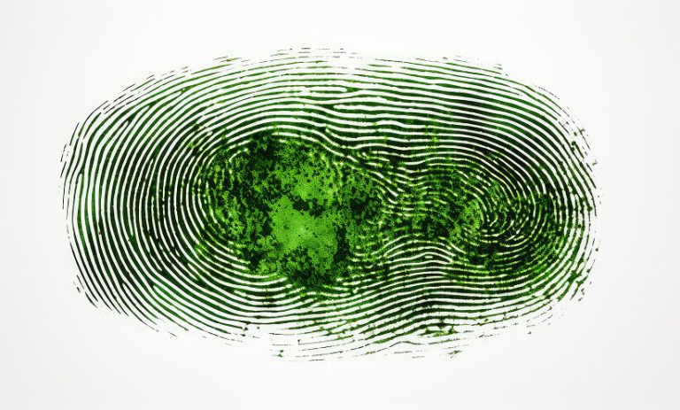 How to Protect Yourself (and Your Energy)